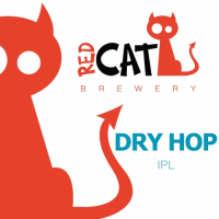 Пиво Dry Hop