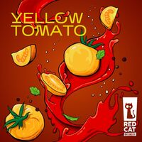 Пиво Yello Tomato