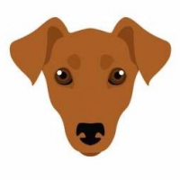 Пиво Red Pinscher Alt #1