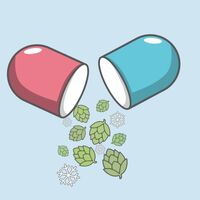 Пиво CHILL PILL Пиво CHILL PILL