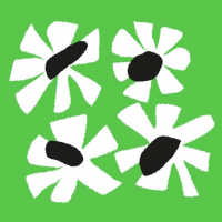 Пиво LIQUID HOLOGRAM