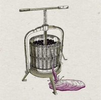 Пиво Racy Flavour