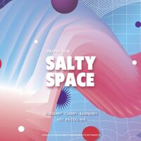 Пиво Salty Space: Blueberry & Cherry & Raspberry