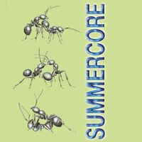 Пиво SUMMERCORE