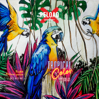 Пиво Tropical Color: Blood Orange & Grapefruit Пиво Tropical Color: Blood Orange & Grapefruit