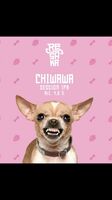 Пиво Chiwawa Пиво Chiwawa