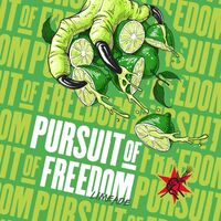 Пиво Pursuit of Freedom: Limeade