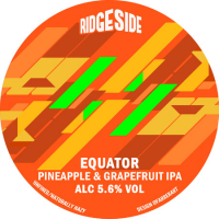 Пиво Equator - Pineapple & Grapefruit IPA Пиво Equator - Pineapple & Grapefruit IPA