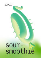 Пиво Sour-smoothie ale киви и огурец