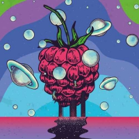 Пиво Raspberry Vibes