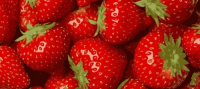 Пиво Strawberry CFB