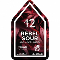 Пиво Rebel Sour 12