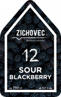 Пиво Sour 12 Blackberry