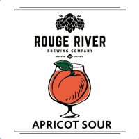 Пиво Apricot Sour