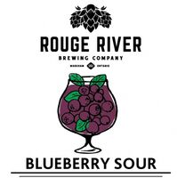 Пиво Blueberry Sour