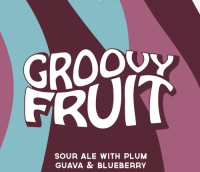 Пиво Groovy Fruit (Guava, Plum, Blackberry) Пиво Groovy Fruit (Guava, Plum, Blackberry)