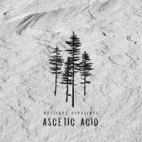Пиво Ascetic Acid