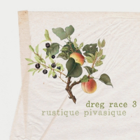 Пиво Dreg Race 3