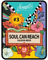 Пиво #03 Soul Can Reach (Saison Beer) Пиво #03 Soul Can Reach (Saison Beer)
