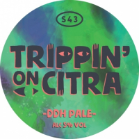 Пиво Trippin' On Citra (DDH Pale) Пиво Trippin' On Citra (DDH Pale)