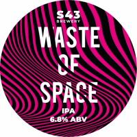 Пиво Waste of Space