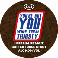 Пиво You're Not You When You're Thirsty Пиво You're Not You When You're Thirsty