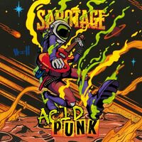 Пиво Acid Punk