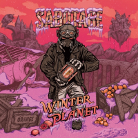 Пиво Winter Planet: Orange & Sea Buckthorn