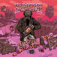 Пиво Winter Planet: Orange, Sea Buckthorn, Cowberry & Ginger