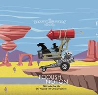 Пиво Foolish Notion