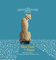 Пиво How Dull To Pause