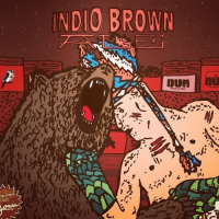 Пиво Indio Brown Пиво Indio Brown