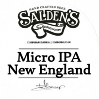 Пиво Micro IPA New England