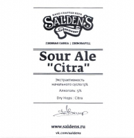 Пиво Sour Ale Citra