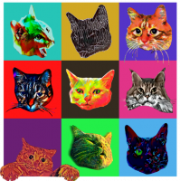 Пиво all cats are BANDITS Пиво all cats are BANDITS