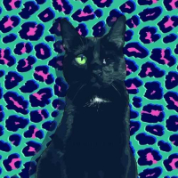 Пиво Concolor Пиво Concolor