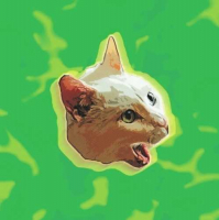 Пиво Ocelot Пиво Ocelot