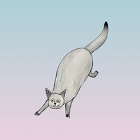 Пиво Nebulosa Пиво Nebulosa