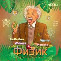 Пиво Физик Dipa With Passion Fruit