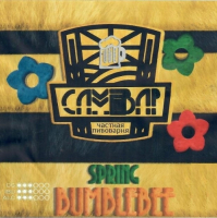 Пиво Spring Bumblebee | Весенний Шмель