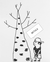 Пиво Betula