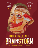 Пиво Brainstrorm IPA (Мозговой Штурм) Пиво Brainstrorm IPA (Мозговой Штурм)