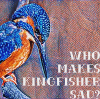 Пиво Who Makes Kingfisher Sad?