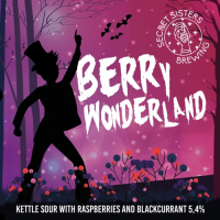Пиво Berry Wonderland