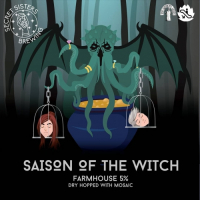 Пиво Saison of the Witch