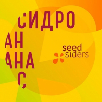 Пиво Сидроананас