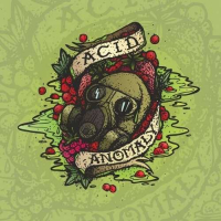 Пиво Acid Anomaly