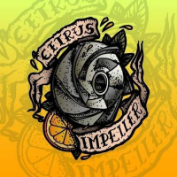 Пиво Citrus Impeller Пиво Citrus Impeller