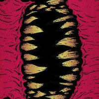 Пиво Evolve! Morph 3