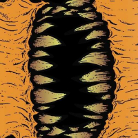 Пиво Evolve! Morph 4